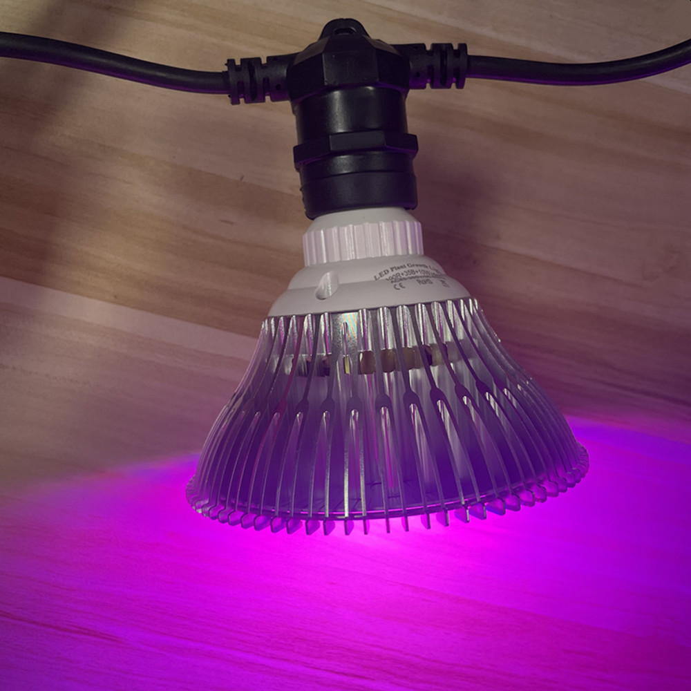 سلسلة إضاءة LED بطول 10 أمتار، - مراجعة Outdoor Lighting Beacon وسعره